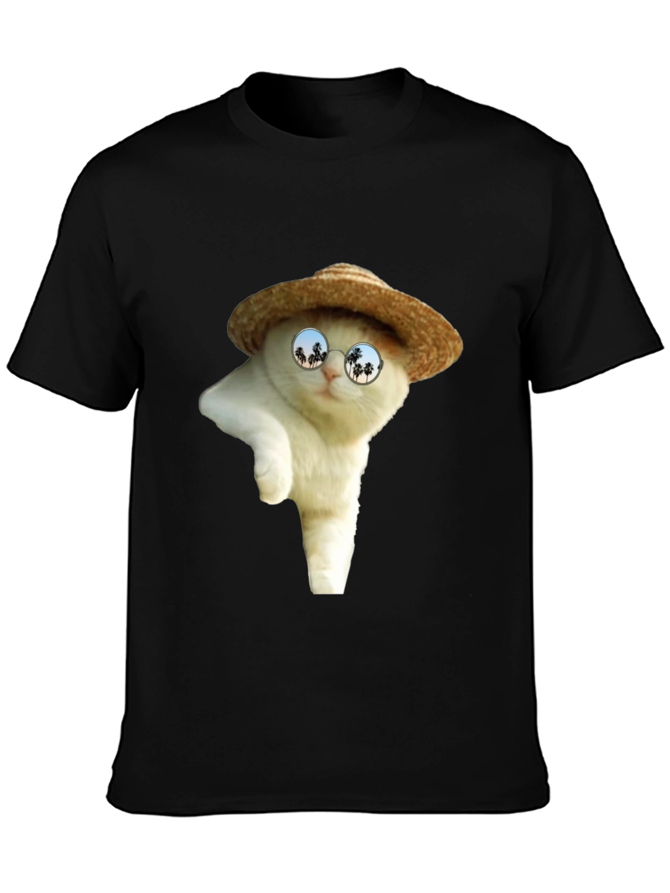 Cat in Hat T-Shirt