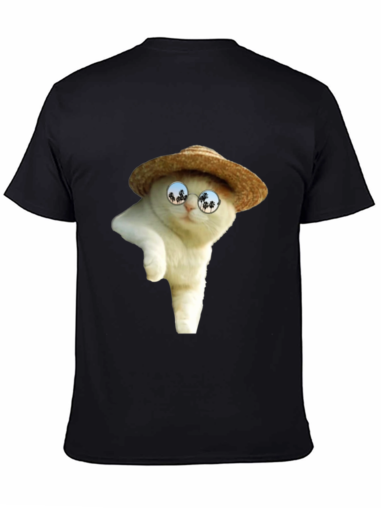 Cat in Hat T-Shirt