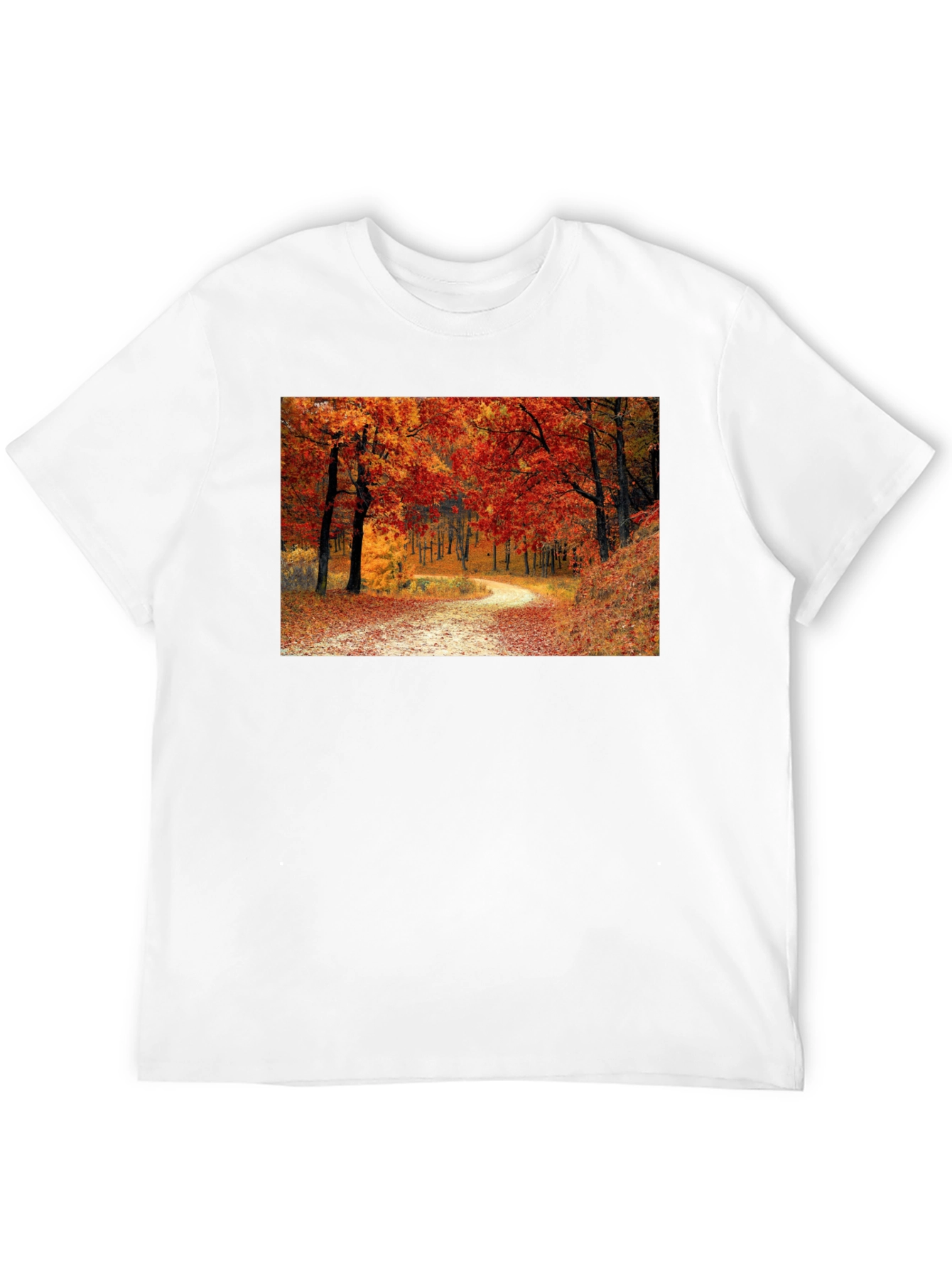 Autumn Forest Path Black T-Shirt