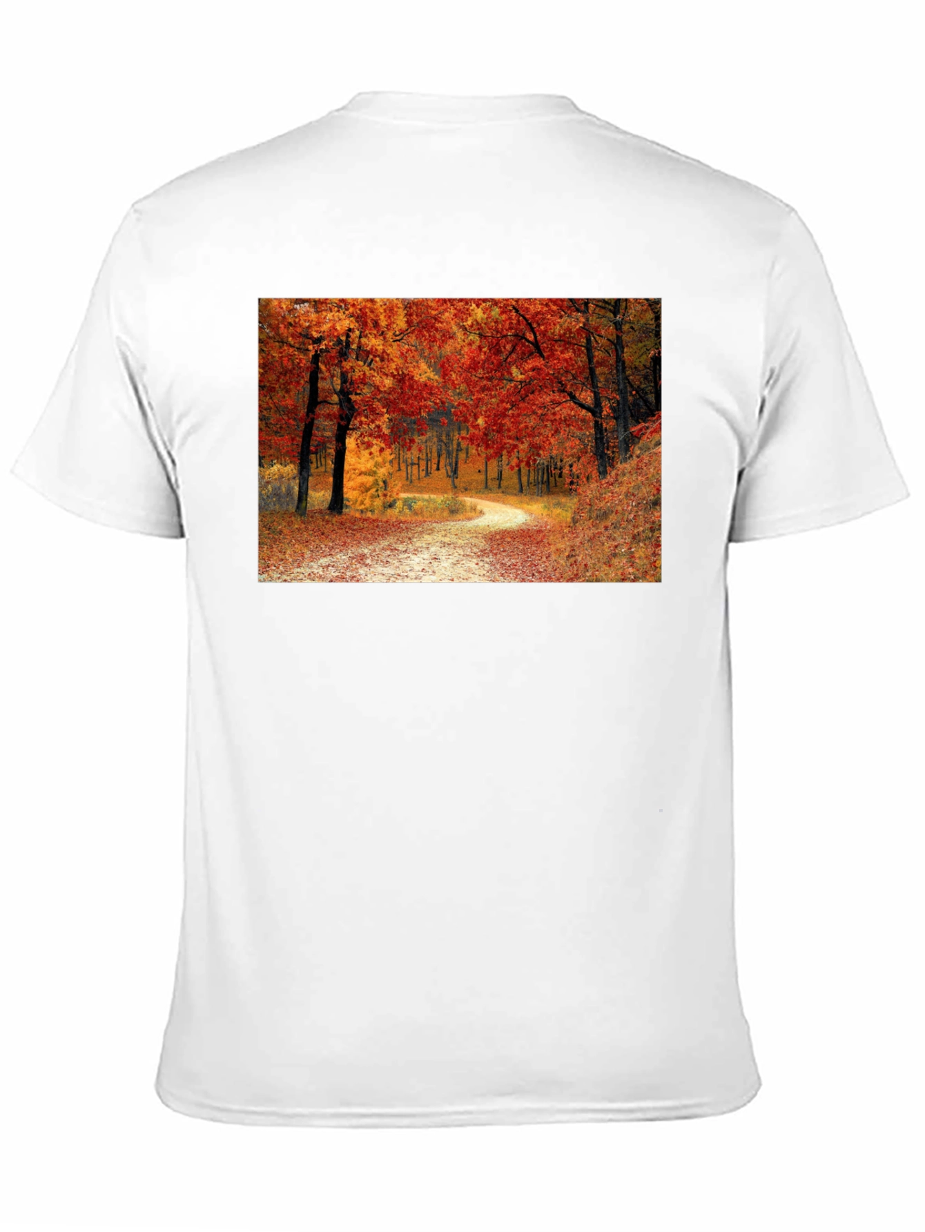 Autumn Forest Path Black T-Shirt