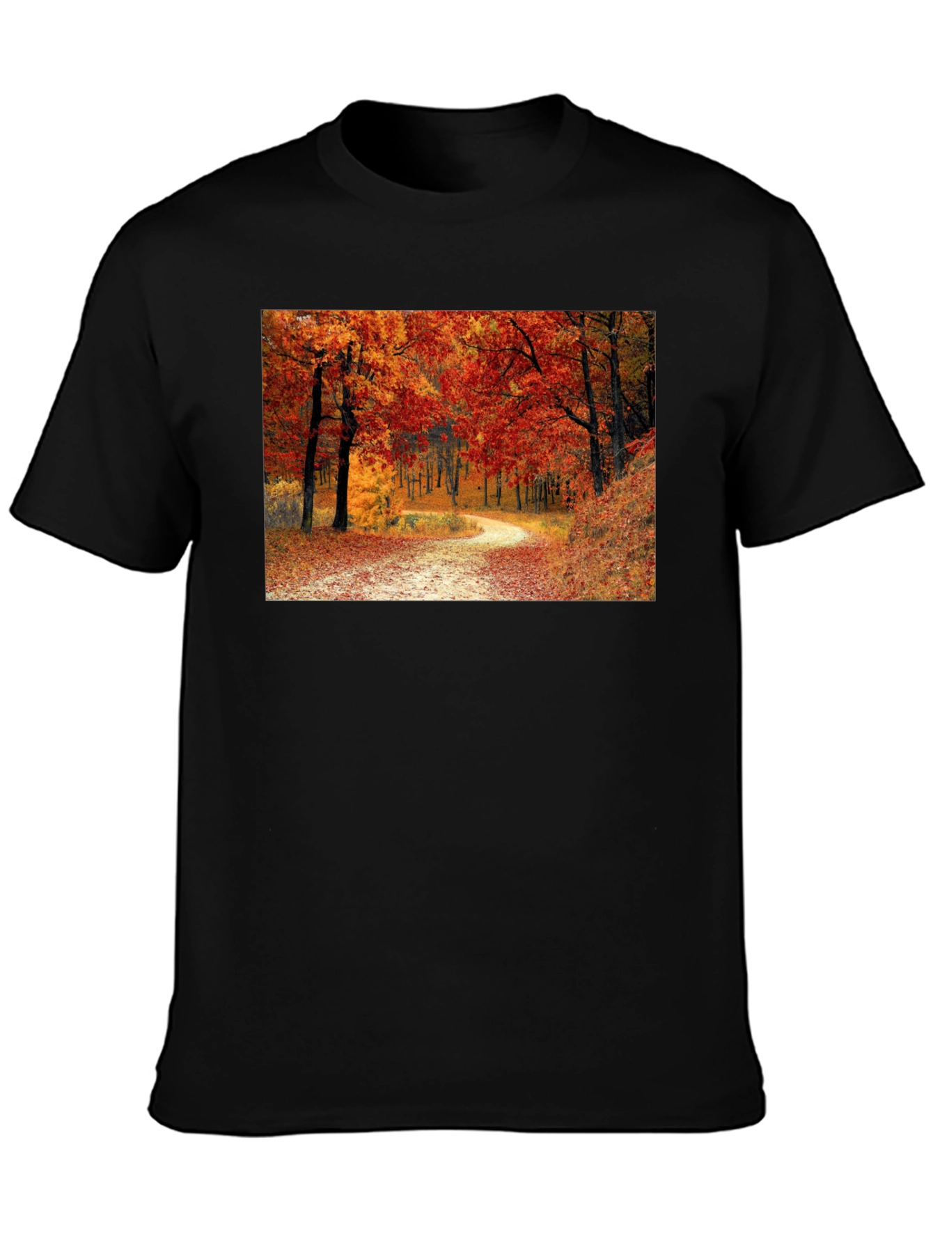 Autumn Forest Path Black T-Shirt