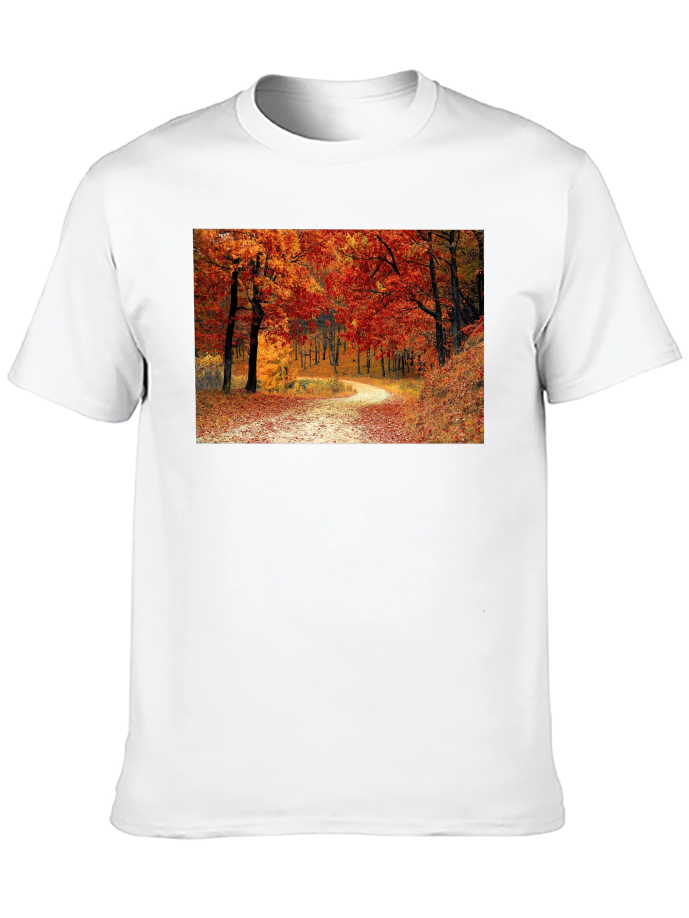 Autumn Forest Path Black T-Shirt