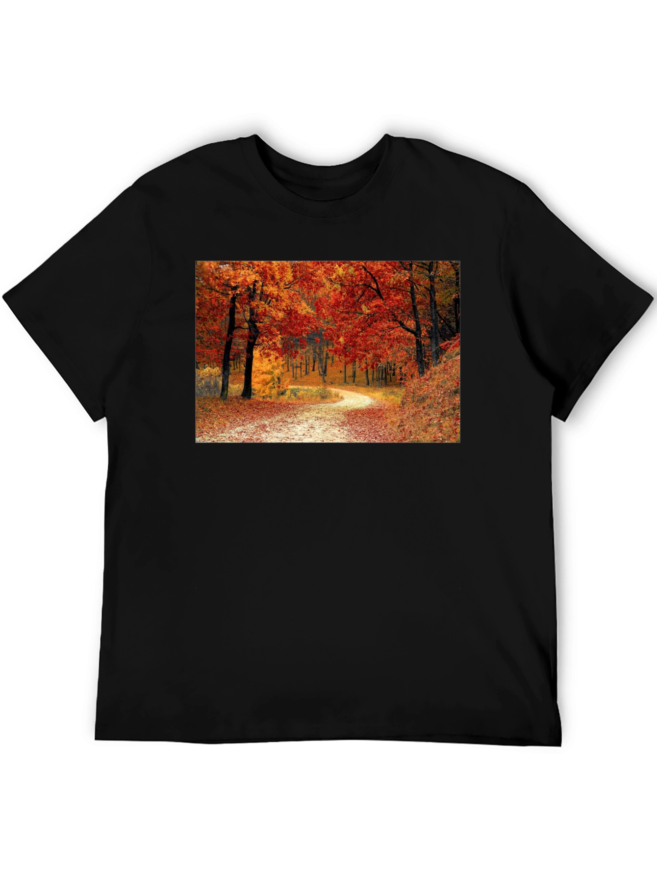 Autumn Forest Path Black T-Shirt