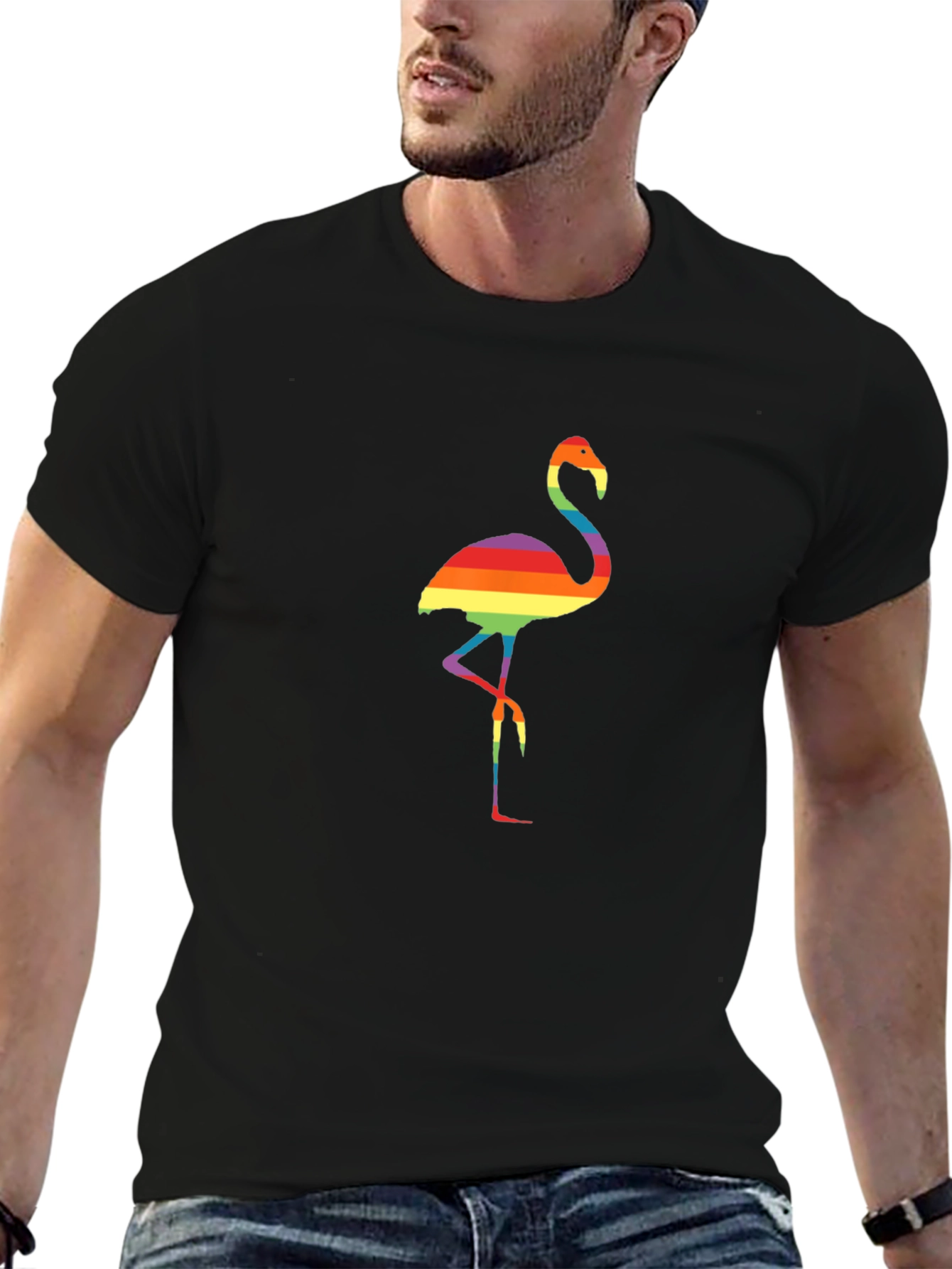 Rainbow Flamingo Graphic Tee - Black Casual Shirt