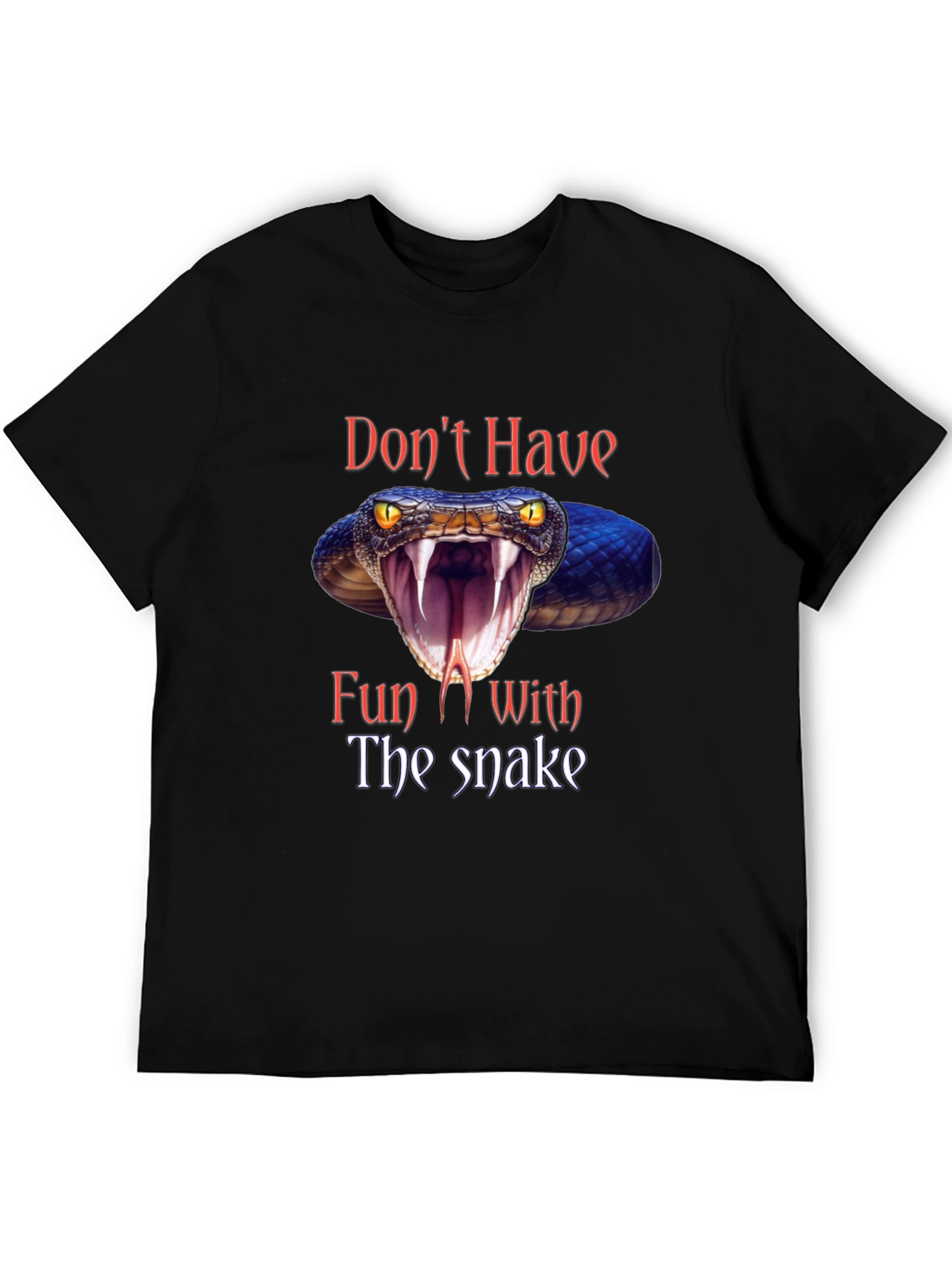 Dont Have Fun With The Snake Graphic Tee