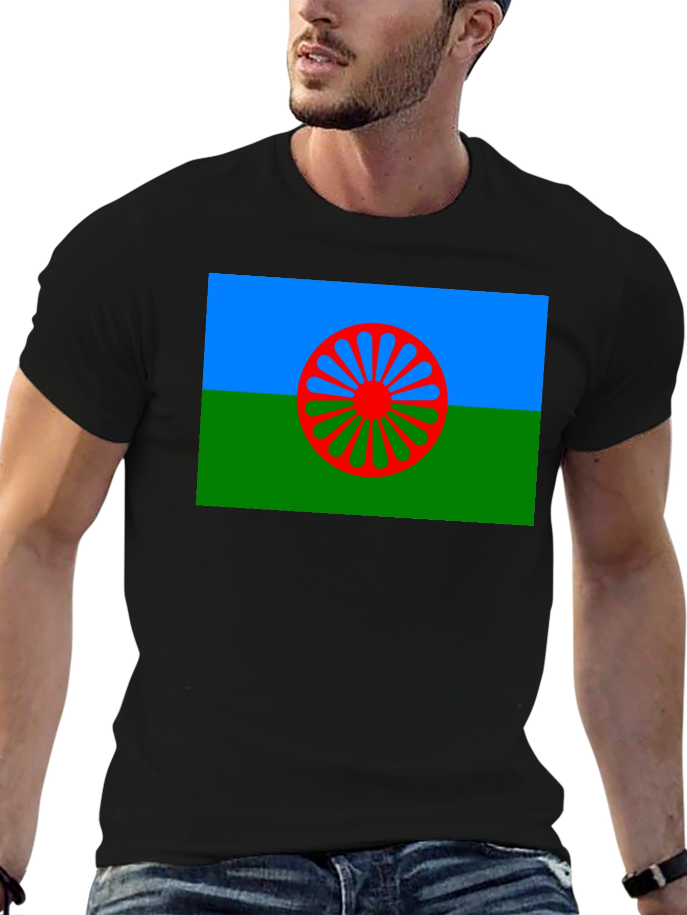 Roma Flag T-Shirt - International Romani Day