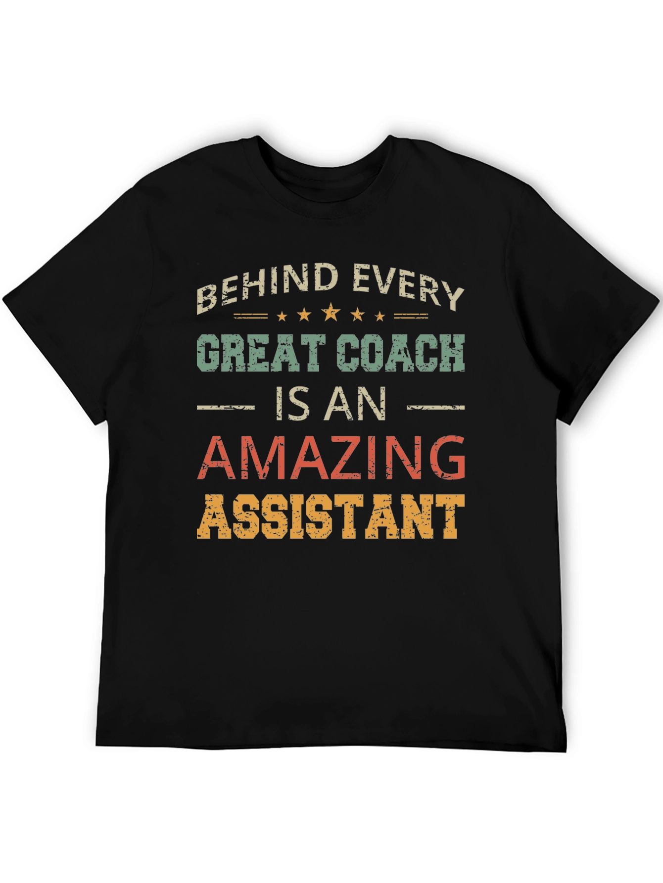 Behind Every Great Coach is an Amazing Assistant T-Shirt