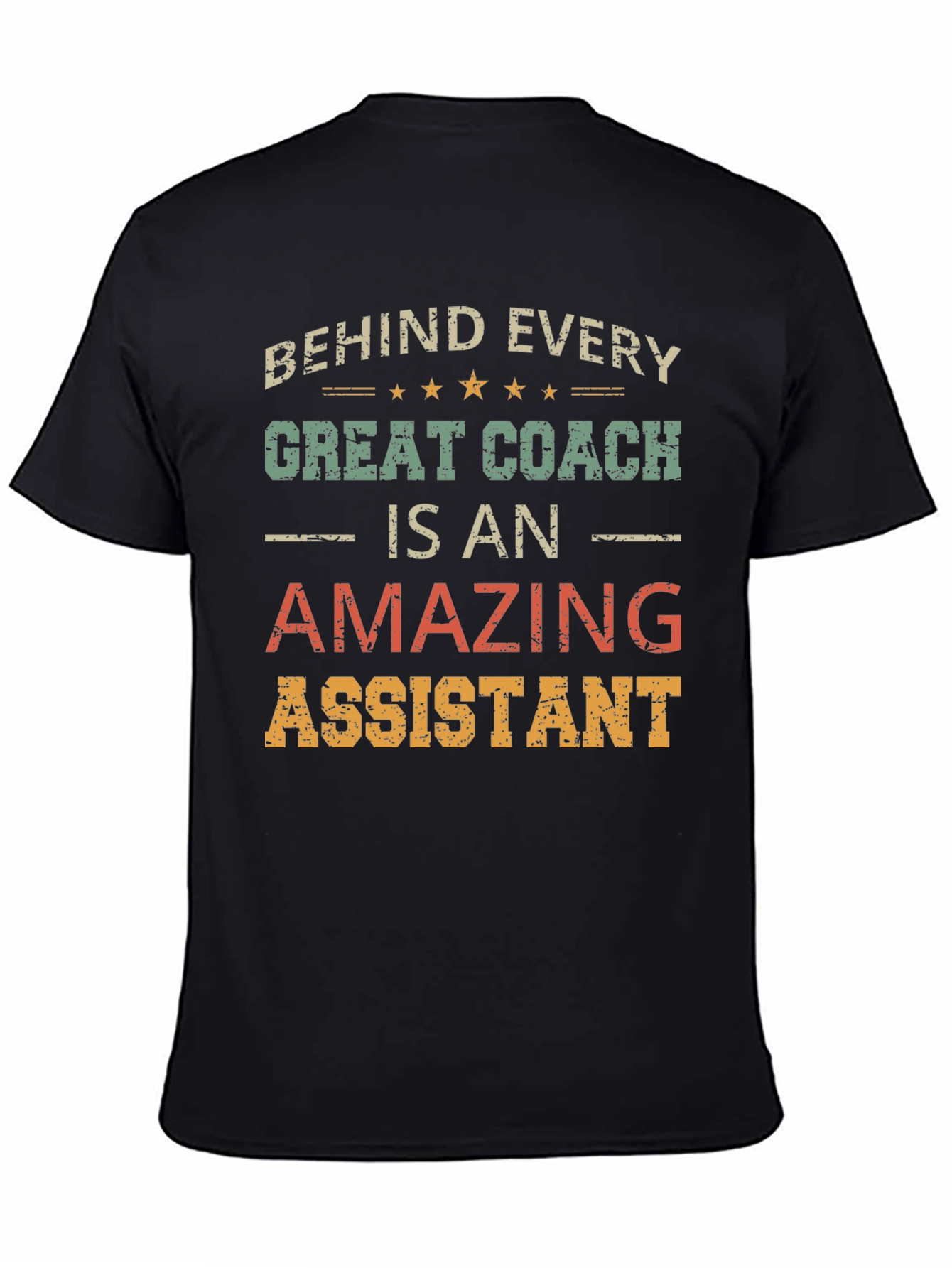 Behind Every Great Coach is an Amazing Assistant T-Shirt