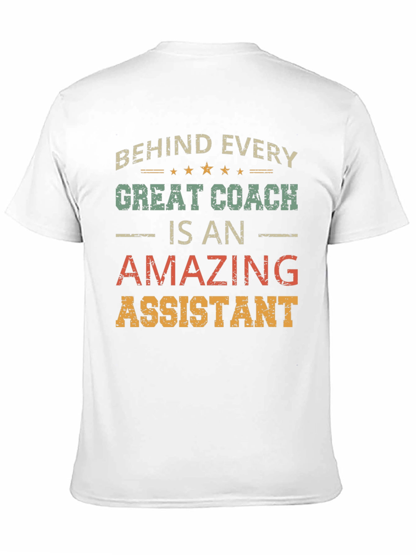 Behind Every Great Coach is an Amazing Assistant T-Shirt