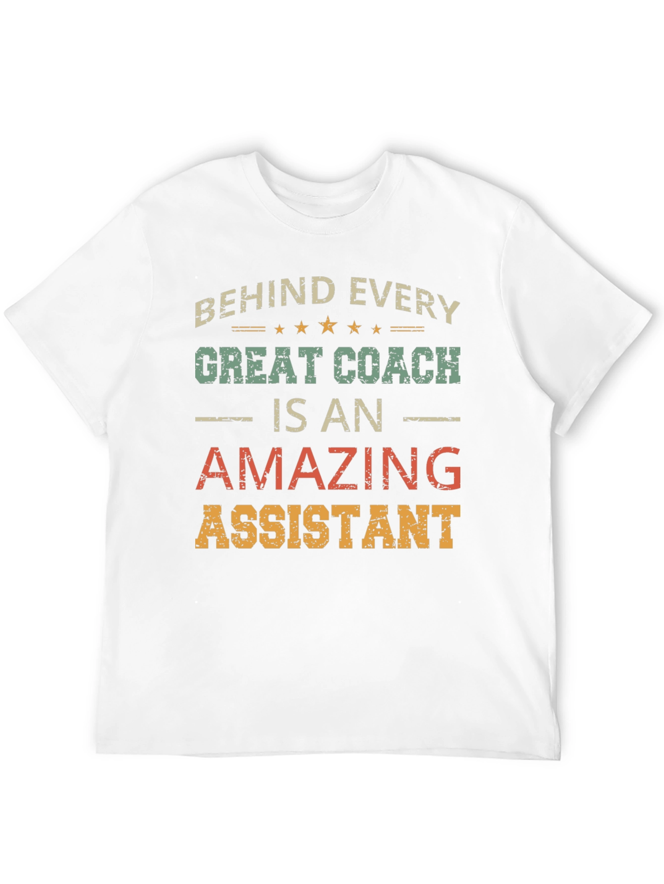 Behind Every Great Coach is an Amazing Assistant T-Shirt