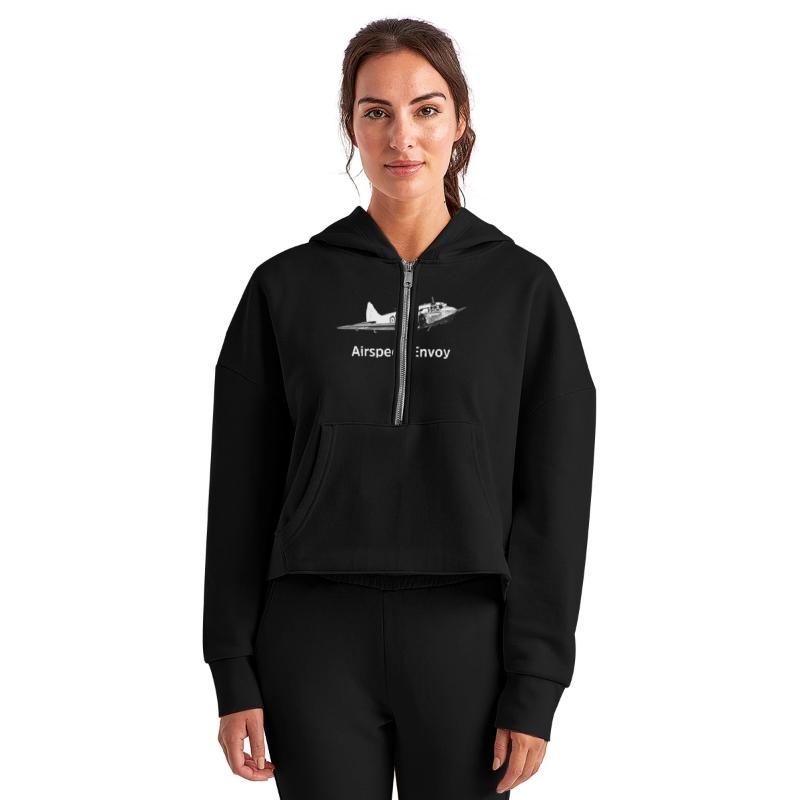 Airspeed Envoy Transport aircraft