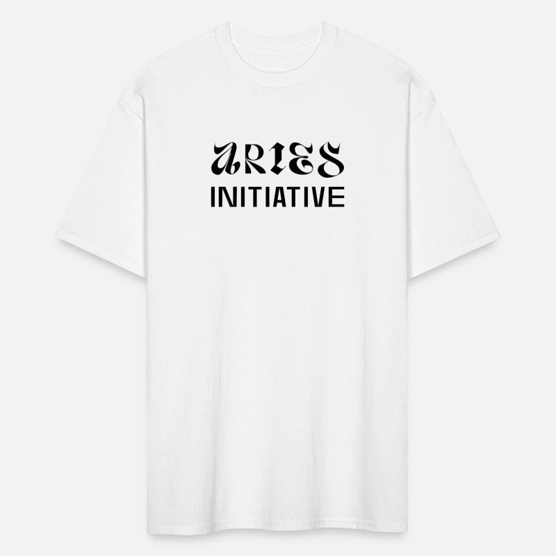 Aries Initiative