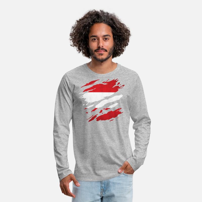 Austria - national flag, scratches, cracks