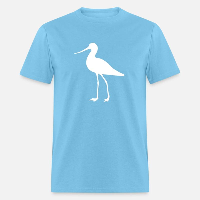 Bird snipe Bar-tailed Godwit