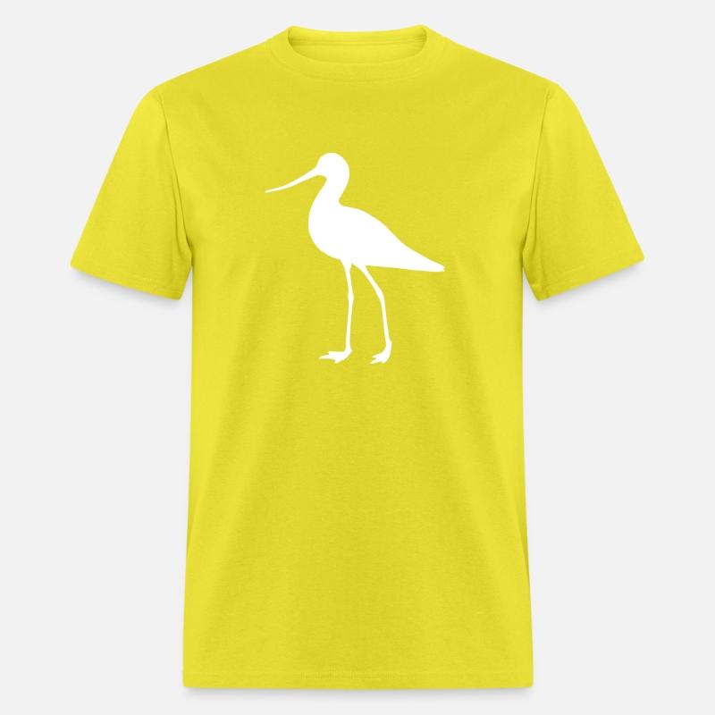 Bird snipe Bar-tailed Godwit