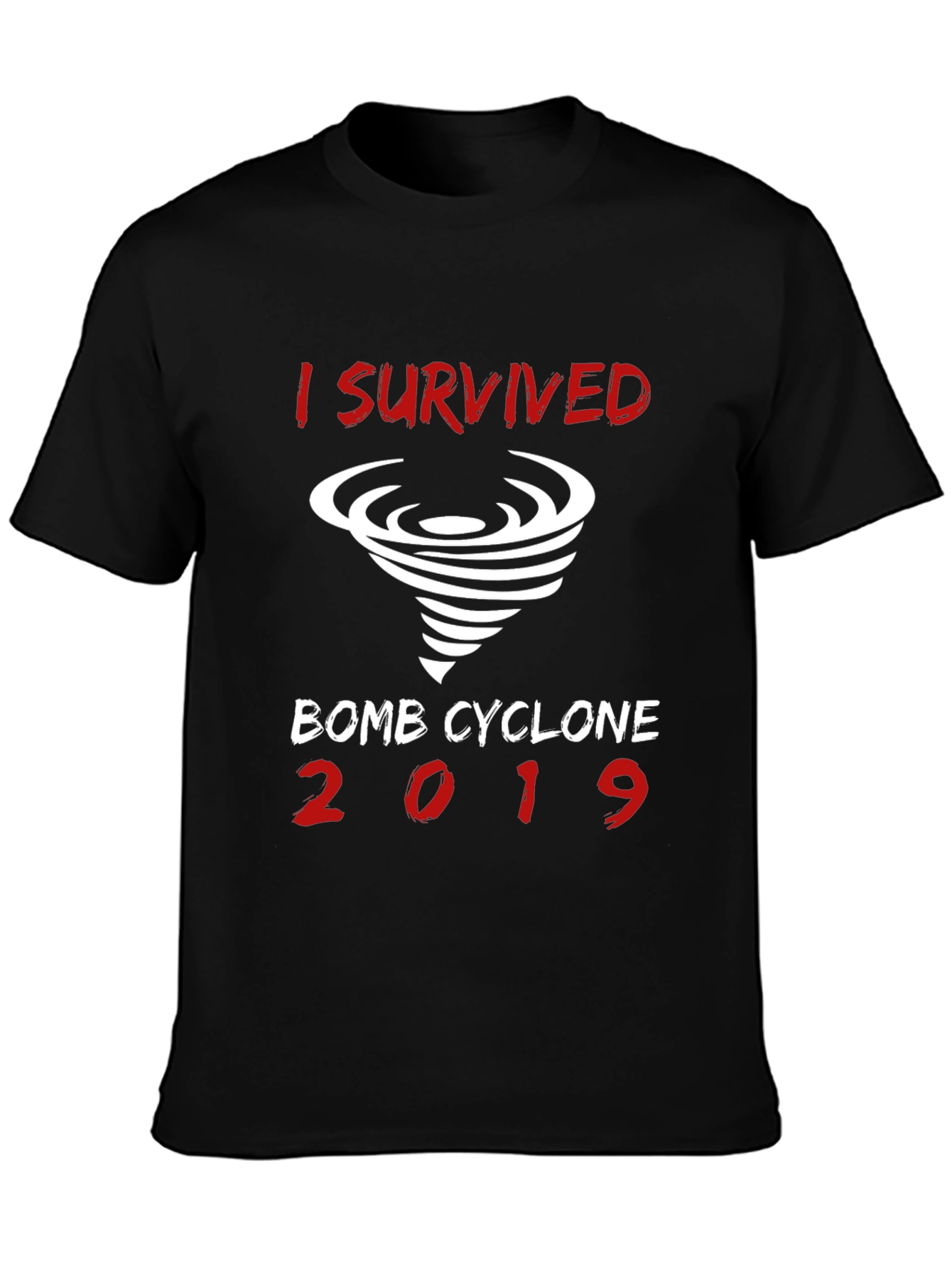 I Survived Bomb Cyclone 2019 T-Shirt