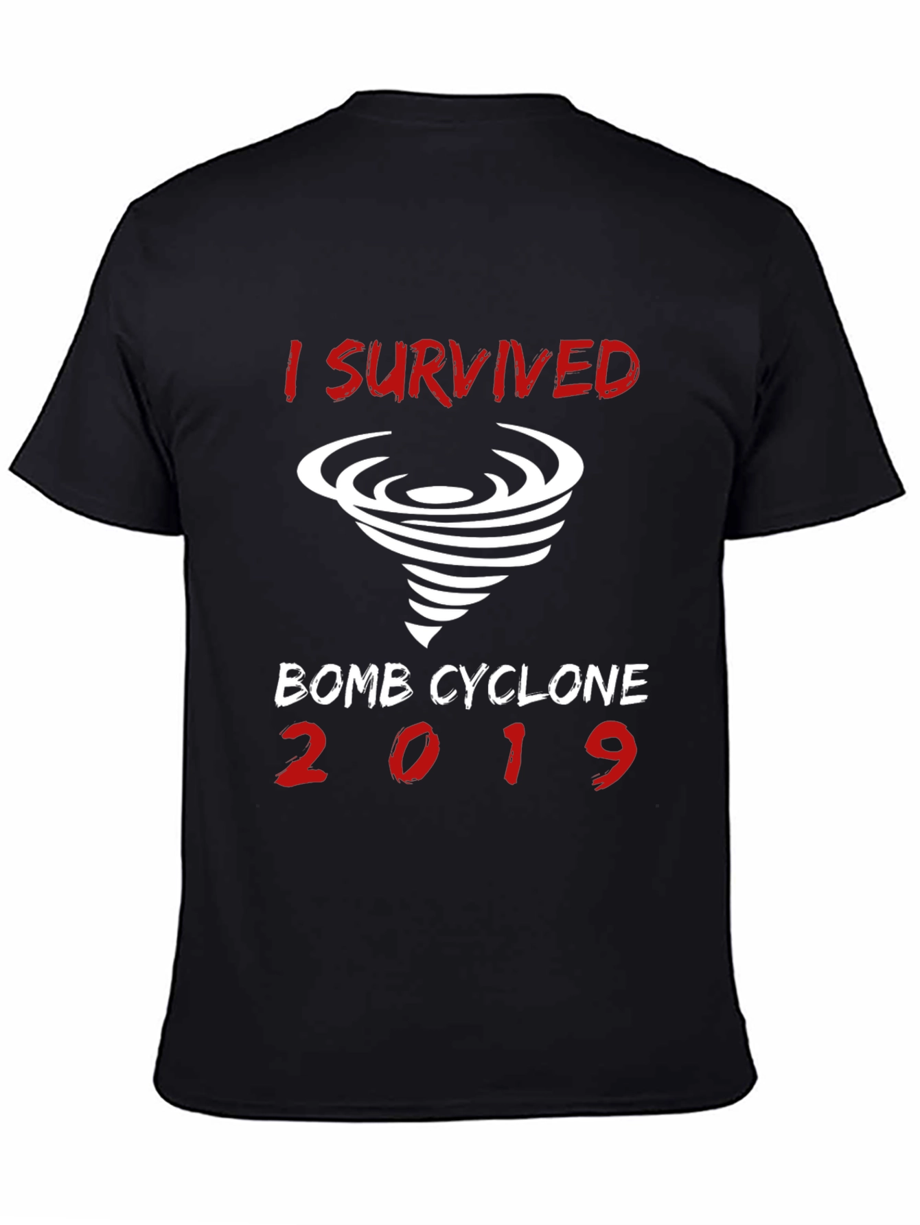 I Survived Bomb Cyclone 2019 T-Shirt