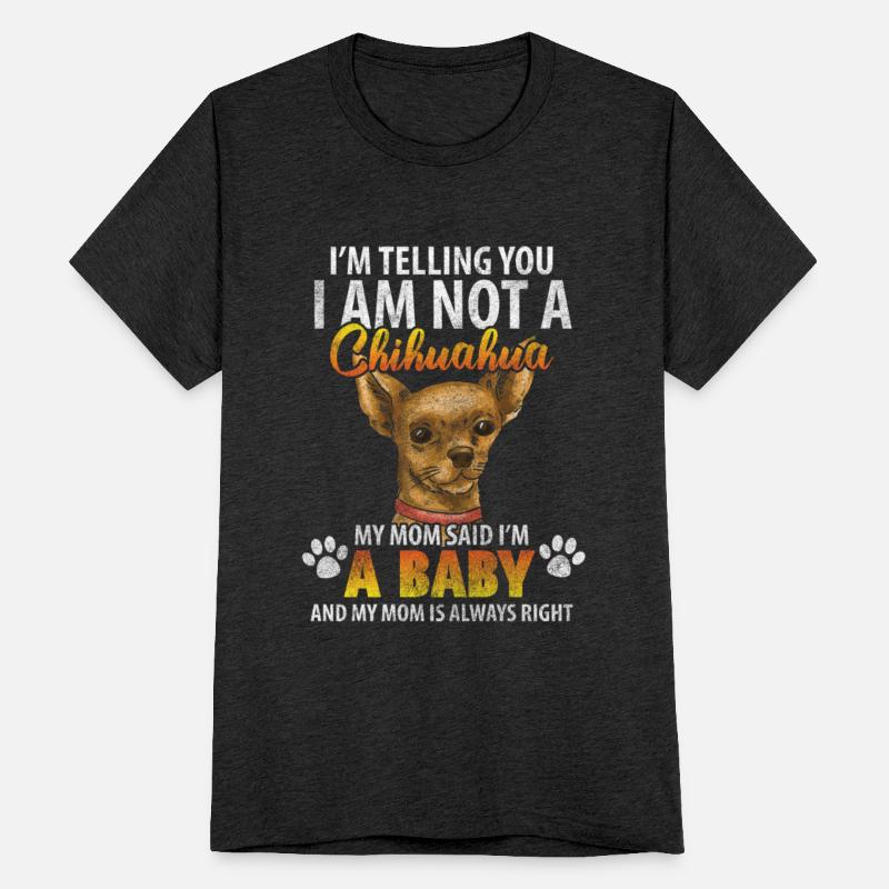 Chihuahua Animal Sweet Dangerous