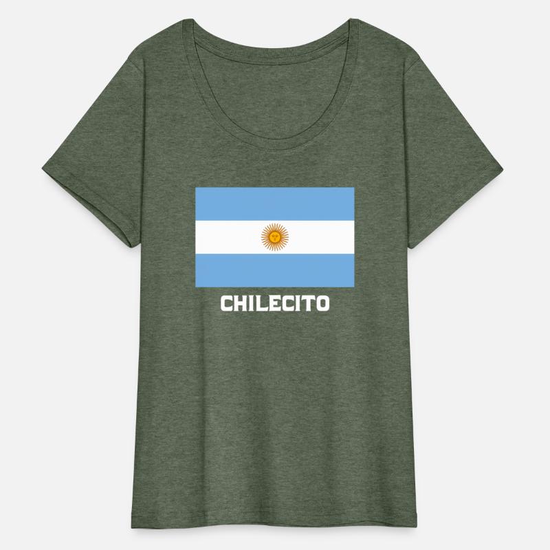 Chilecito Republica Argentina Flag Emblem Bandera