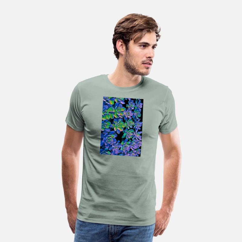 Colorful Succulents 0017