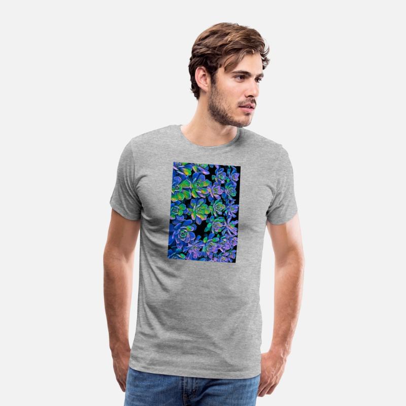 Colorful Succulents 0017
