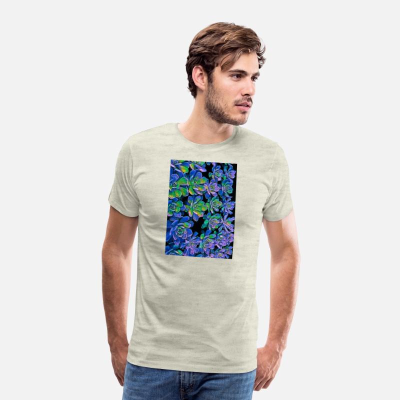 Colorful Succulents 0017