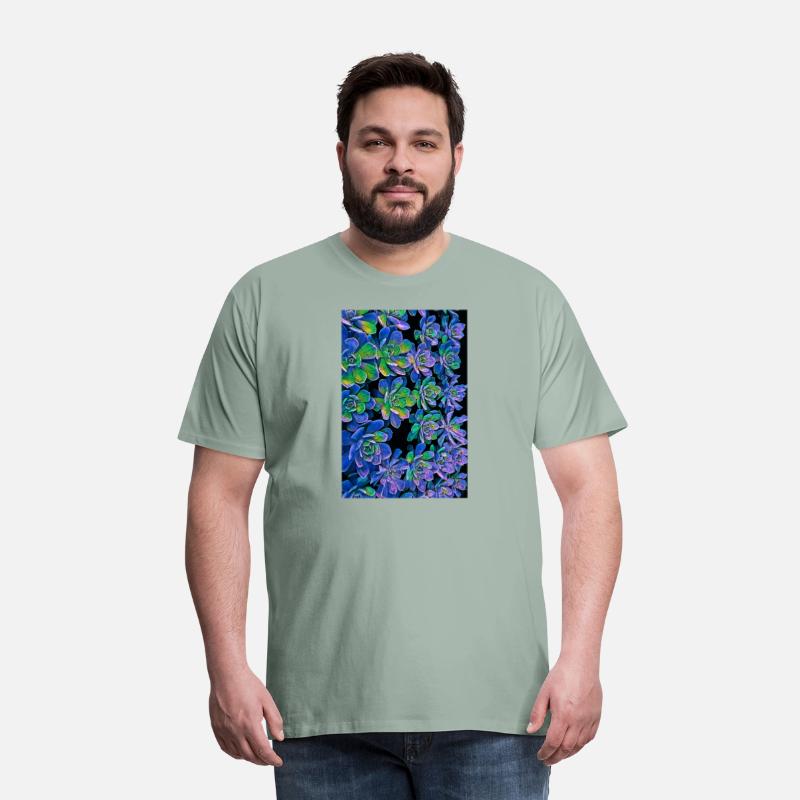 Colorful Succulents 0017