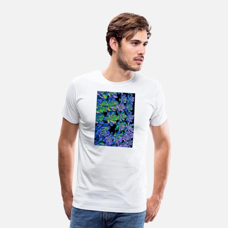Colorful Succulents 0017