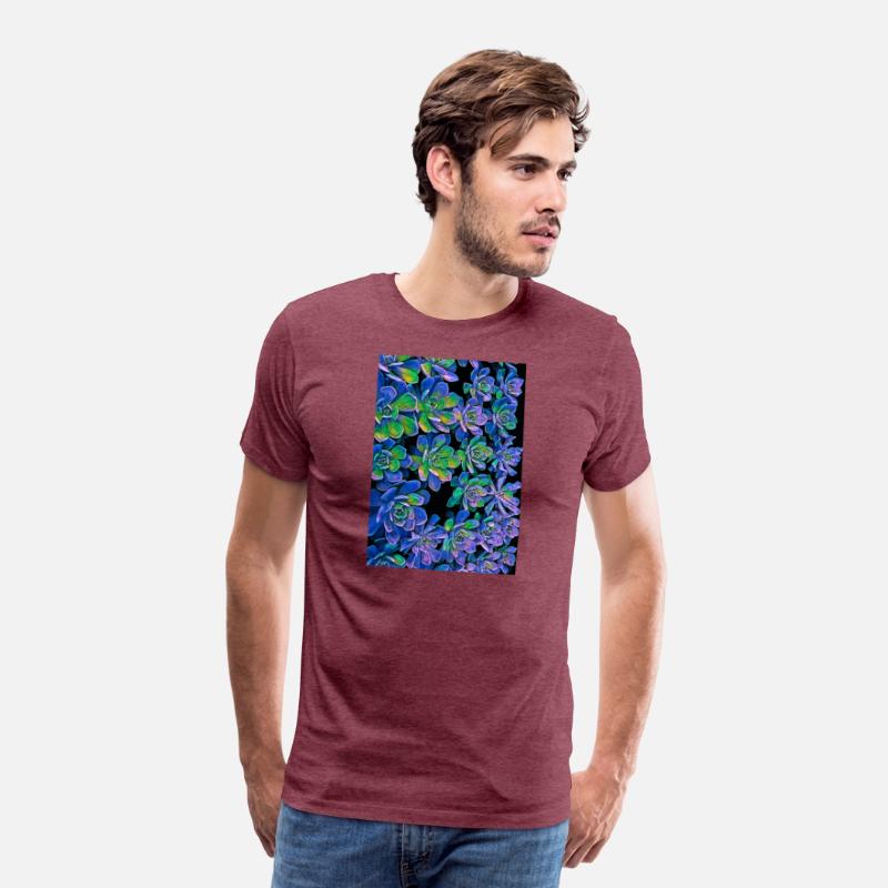 Colorful Succulents 0017