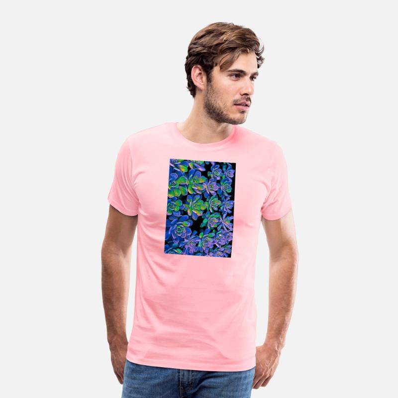Colorful Succulents 0017