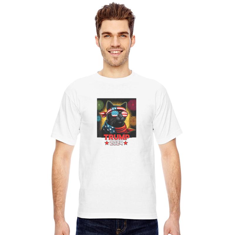Fireworks Trump 2024 Black Cat