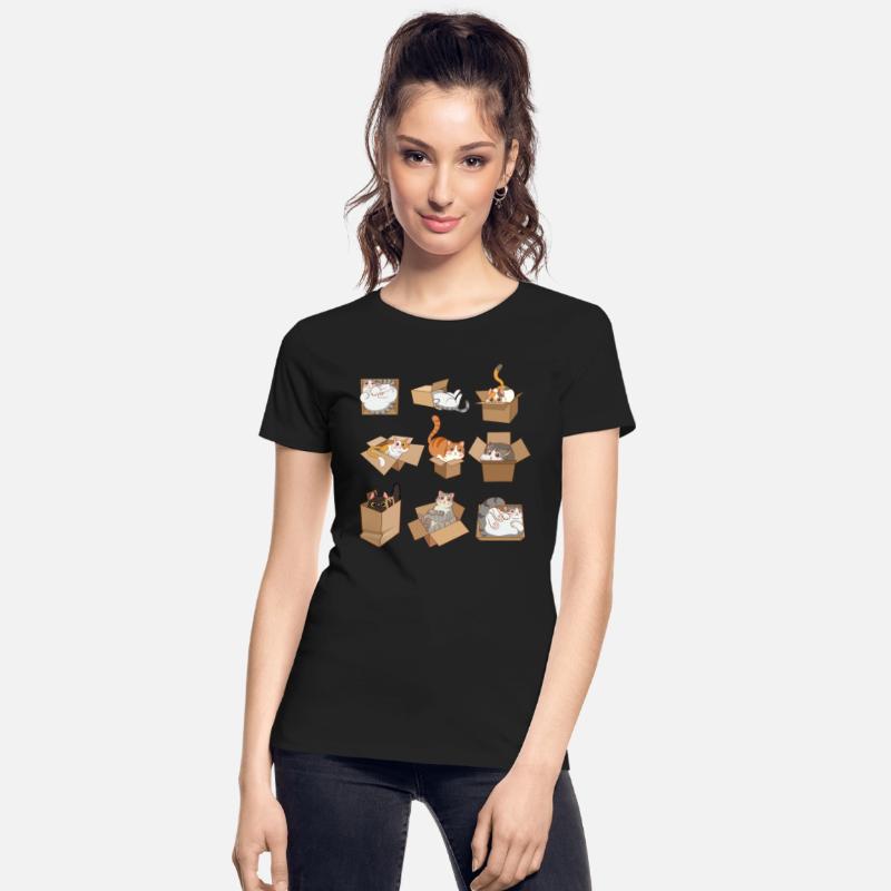 Funny Cats in Boxes Illustration