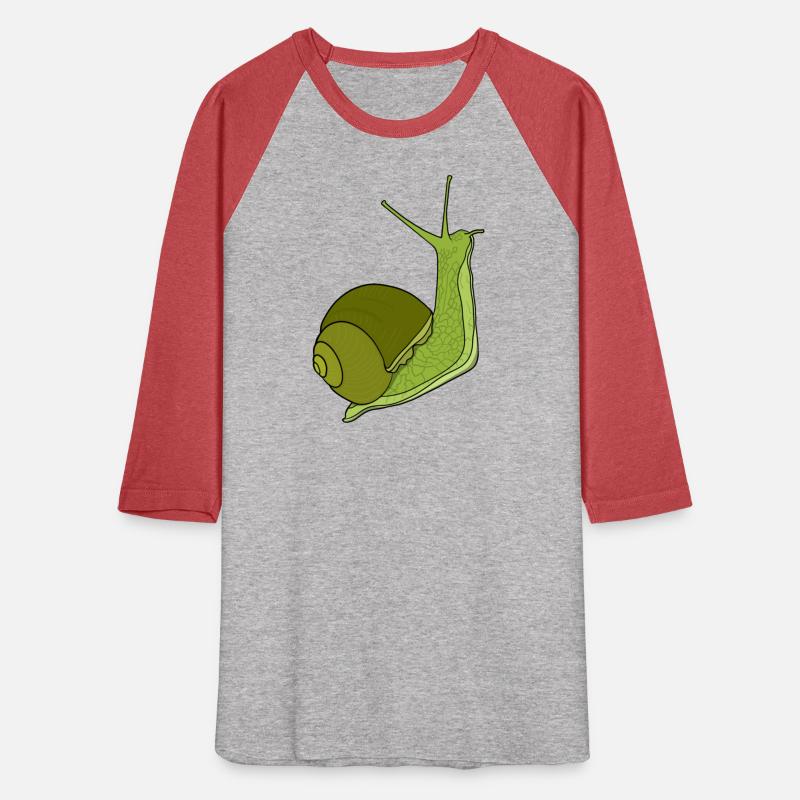 Garden Snail