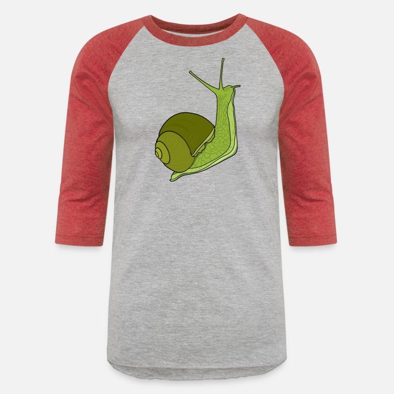Garden Snail