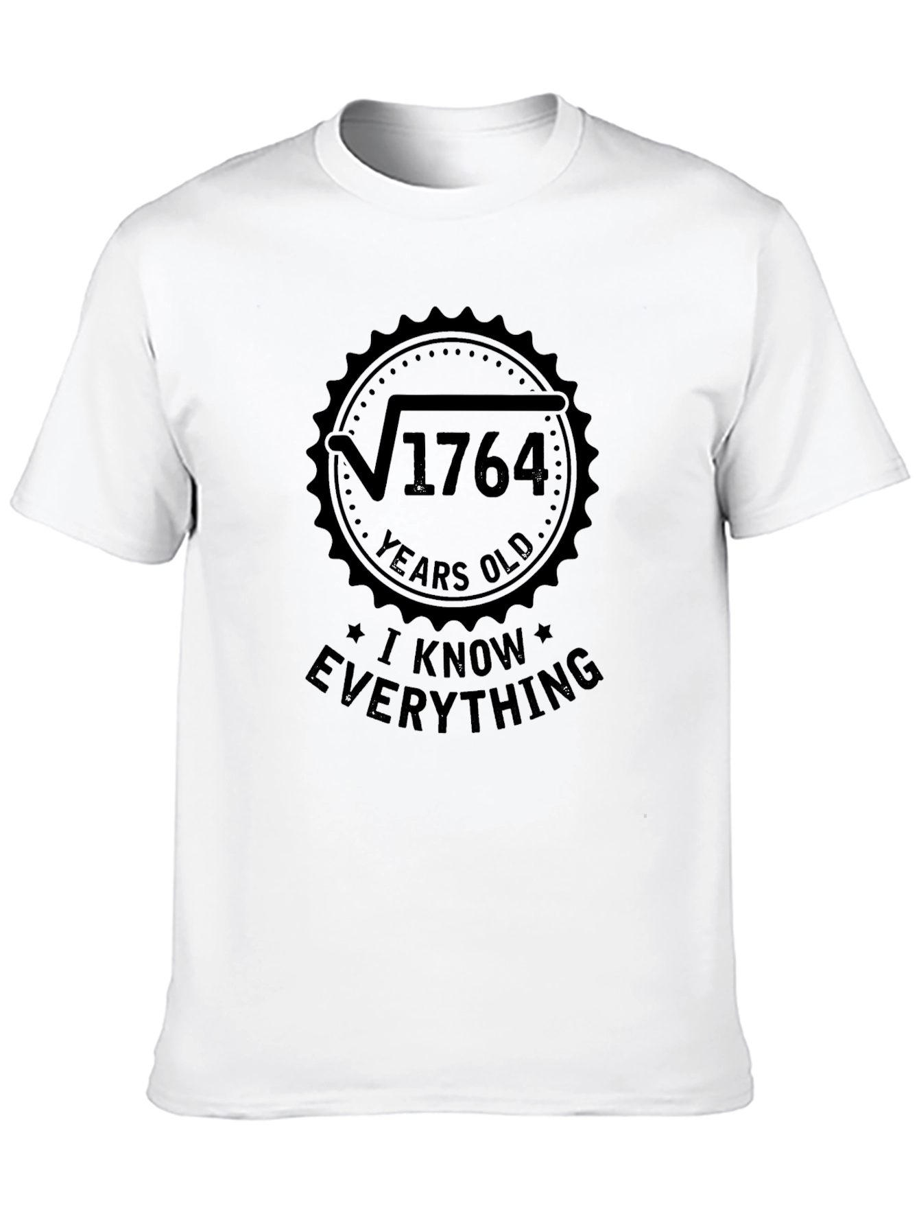 Funny Math T-Shirt - I Know Everything