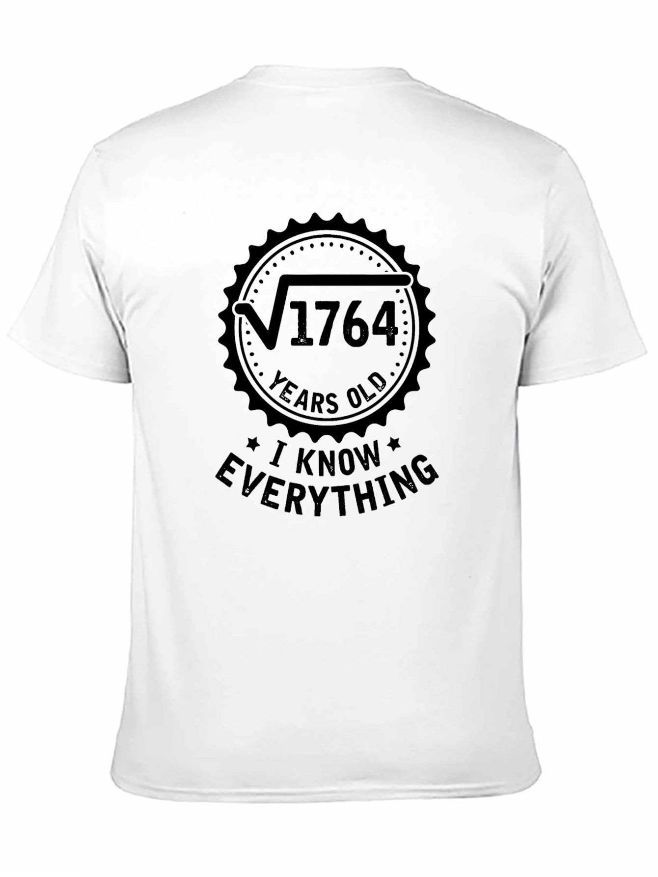 Funny Math T-Shirt - I Know Everything