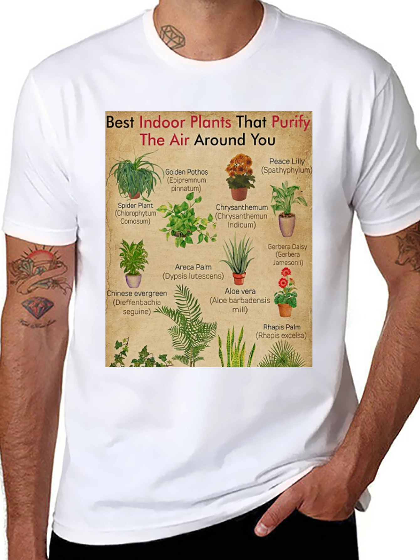 Indoor Plants Purify Air T-Shirt