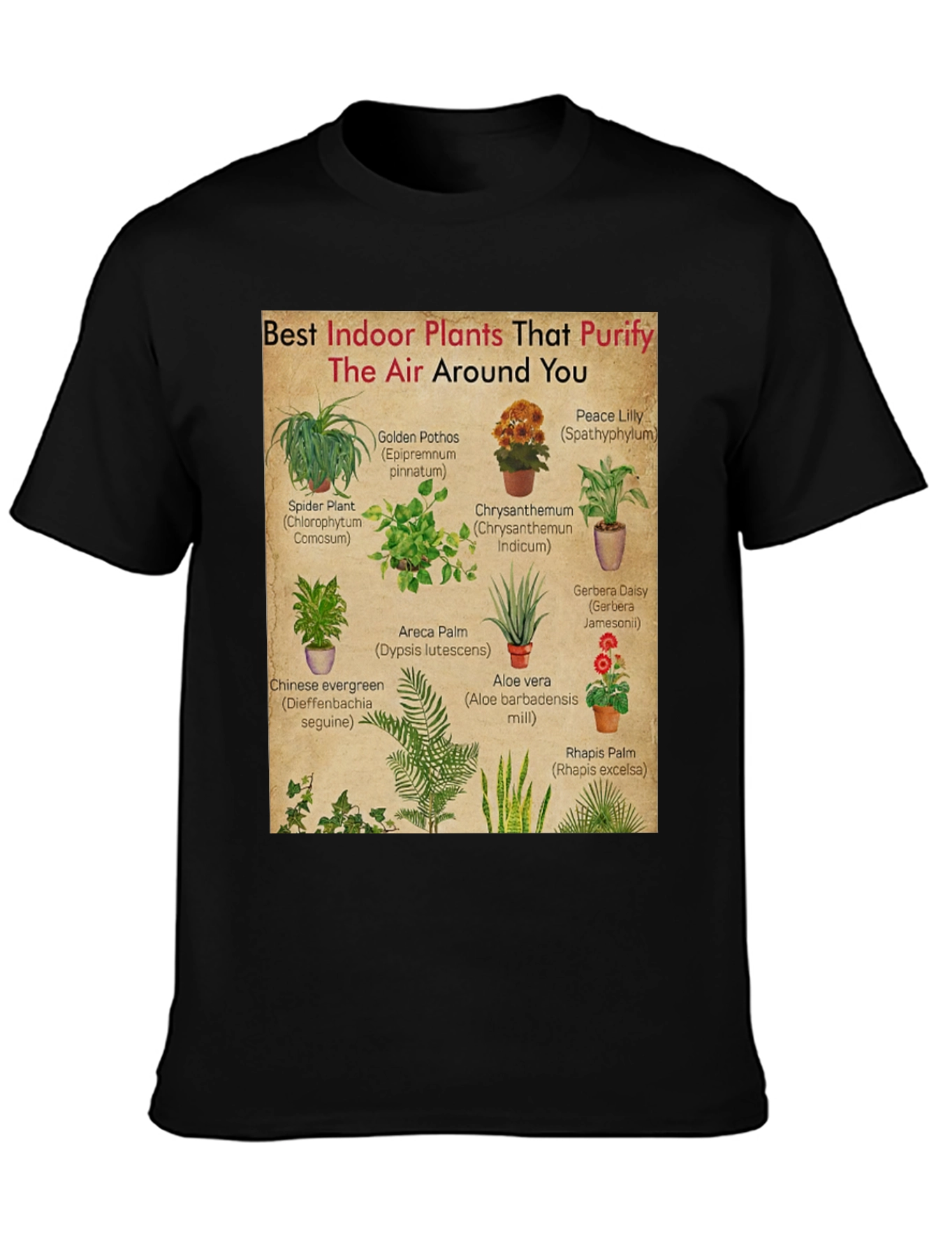 Indoor Plants Purify Air T-Shirt