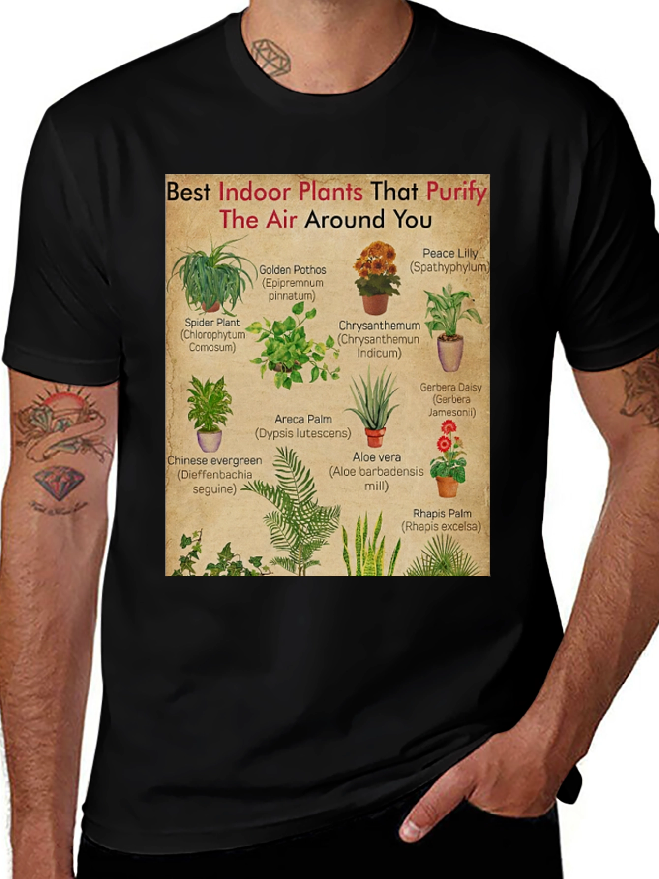 Indoor Plants Purify Air T-Shirt