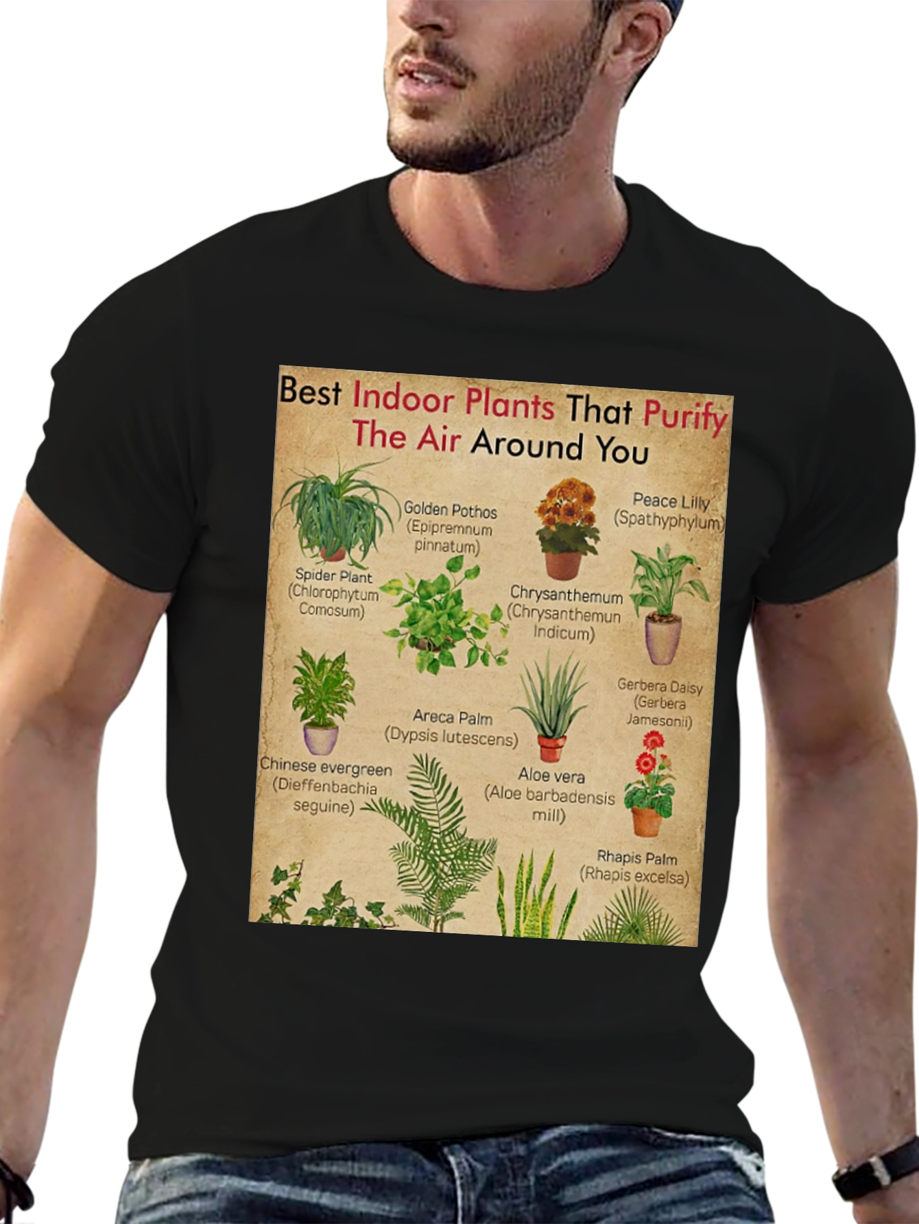Indoor Plants Purify Air T-Shirt