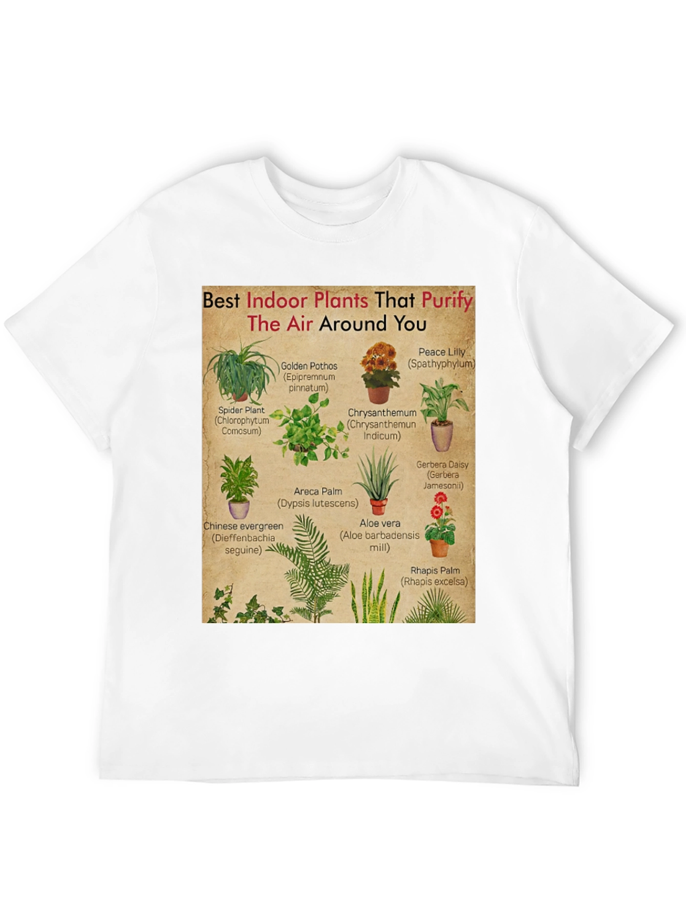 Indoor Plants Purify Air T-Shirt