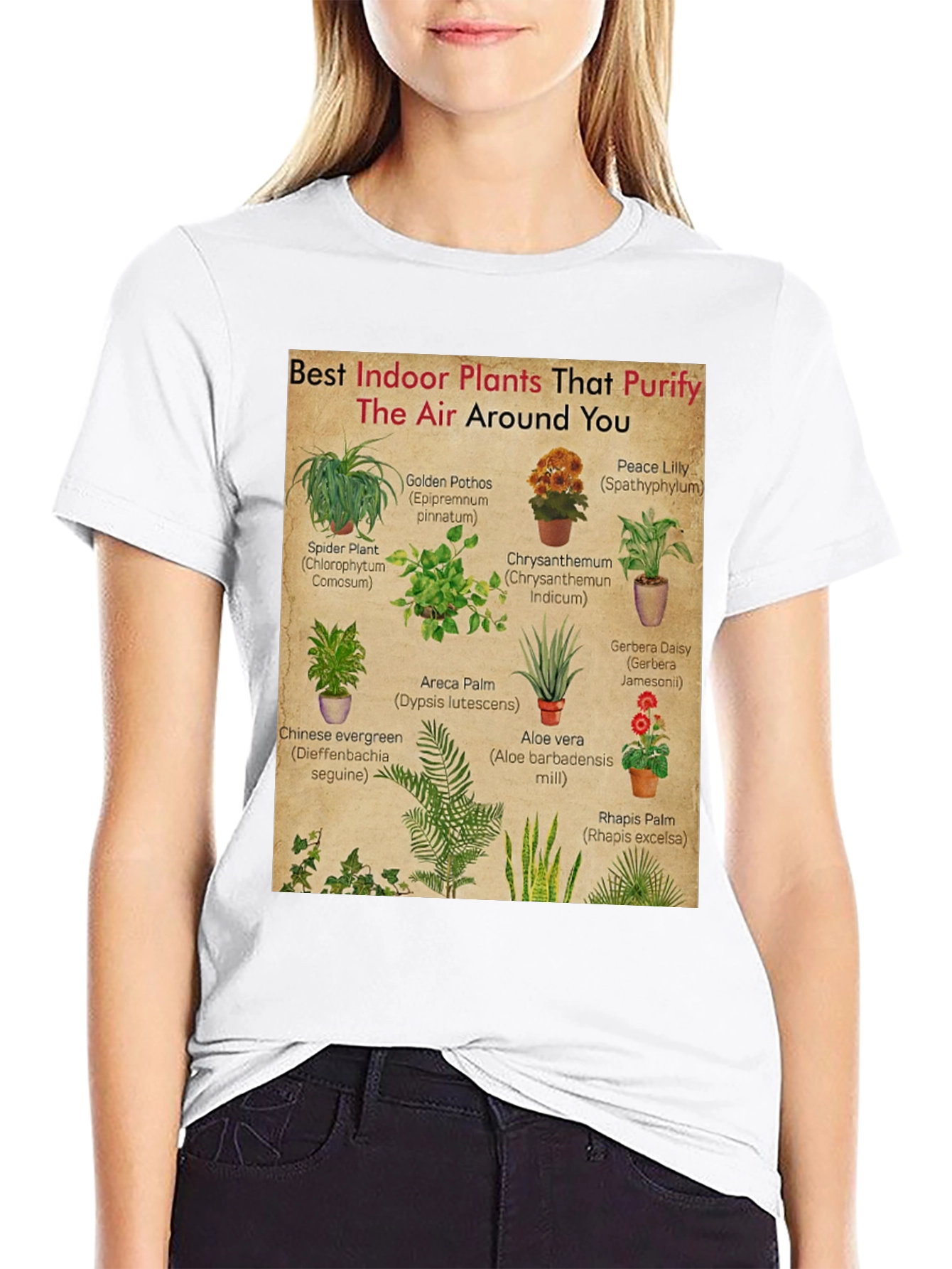 Indoor Plants Purify Air T-Shirt