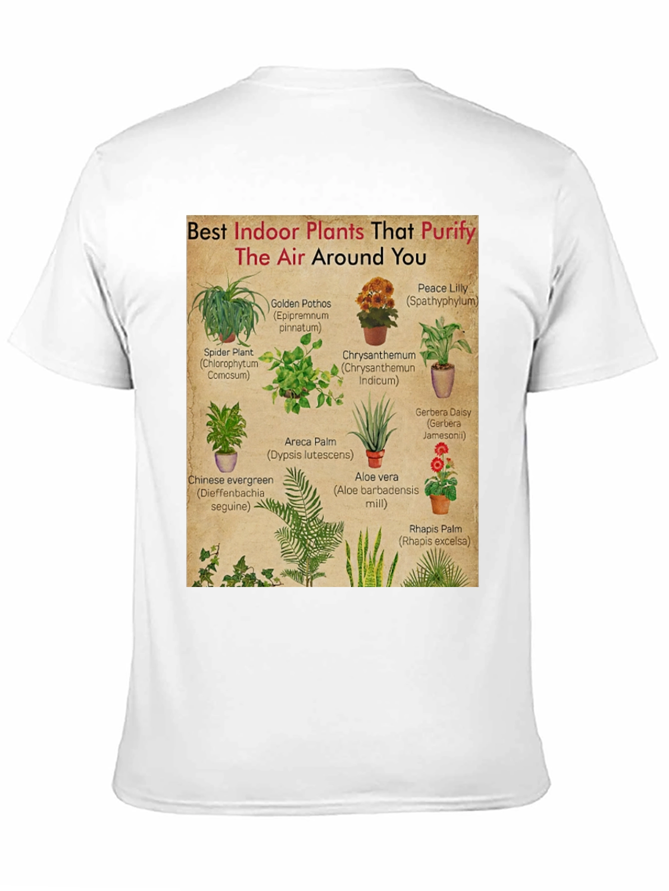 Indoor Plants Purify Air T-Shirt