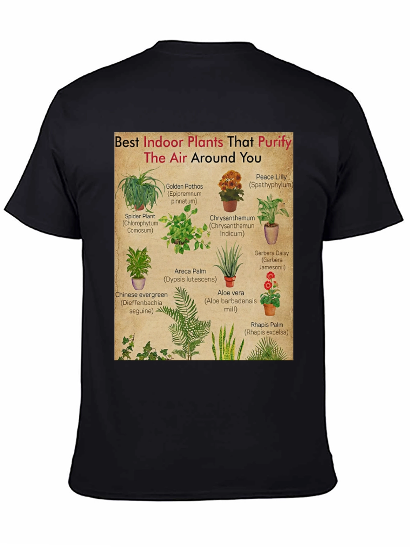 Indoor Plants Purify Air T-Shirt