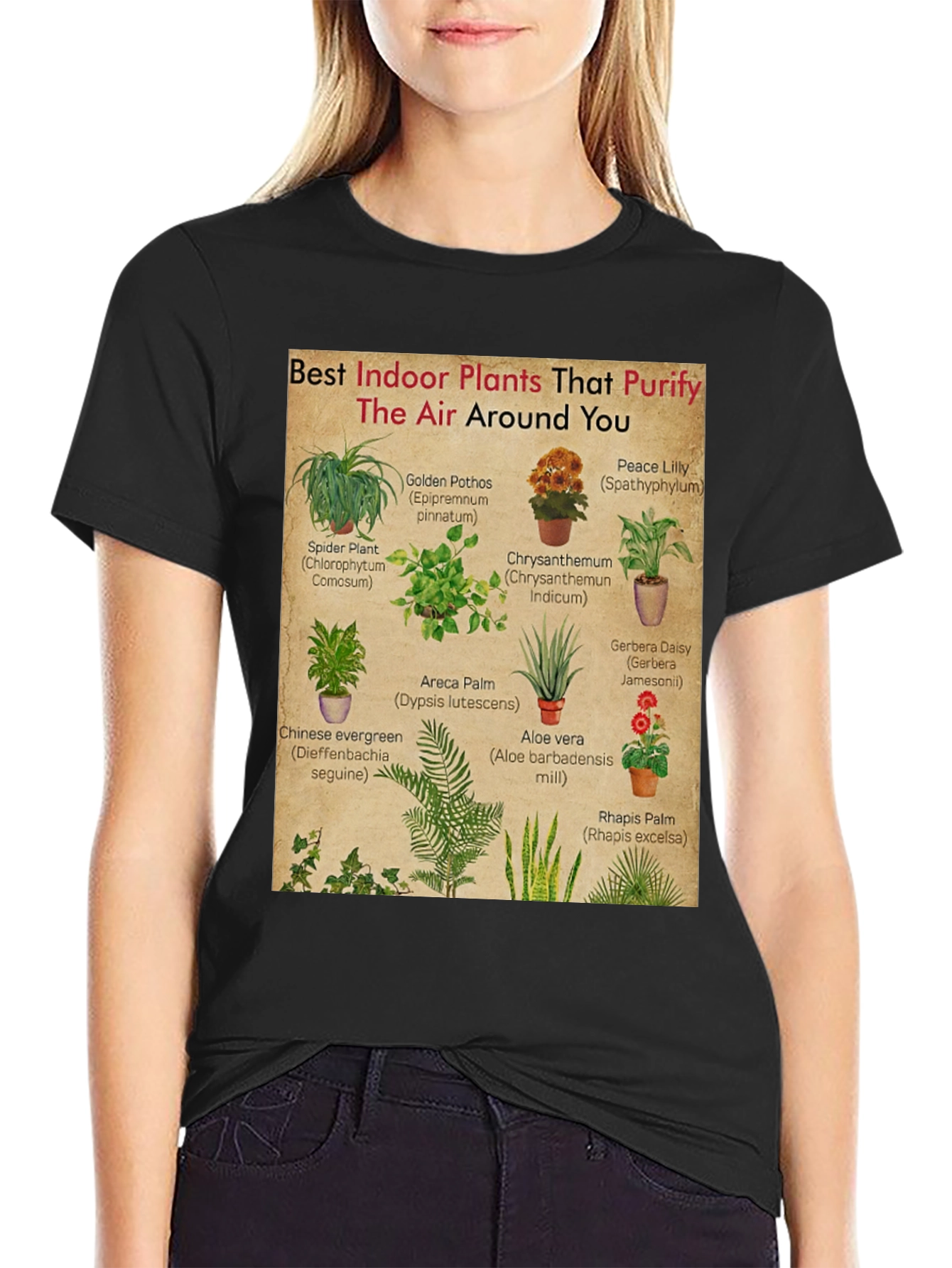 Indoor Plants Purify Air T-Shirt