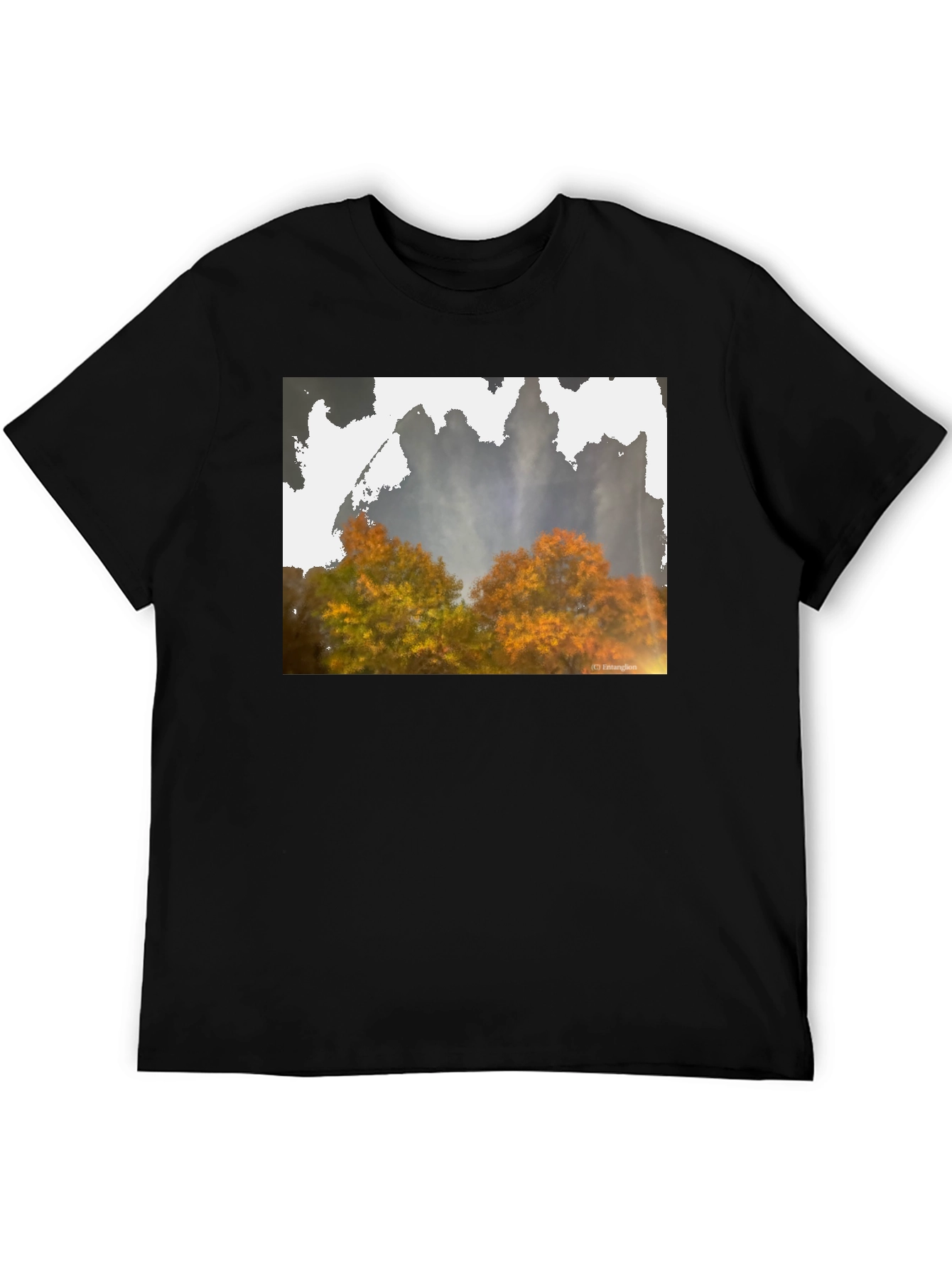 Nature Scene Black T-Shirt