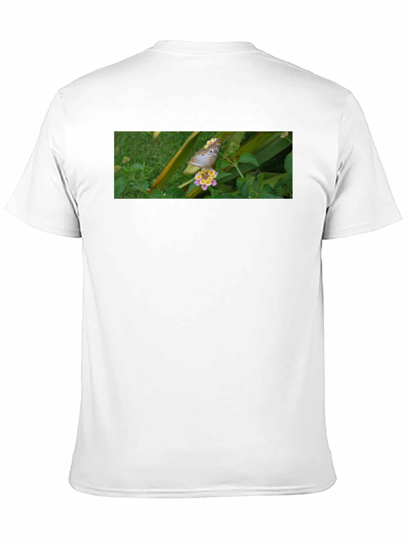 Butterfly on Flower Graphic Tee