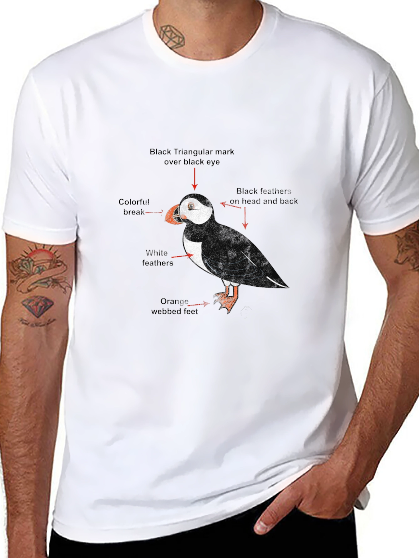 Puffin Bird Graphic Print Black T-Shirt