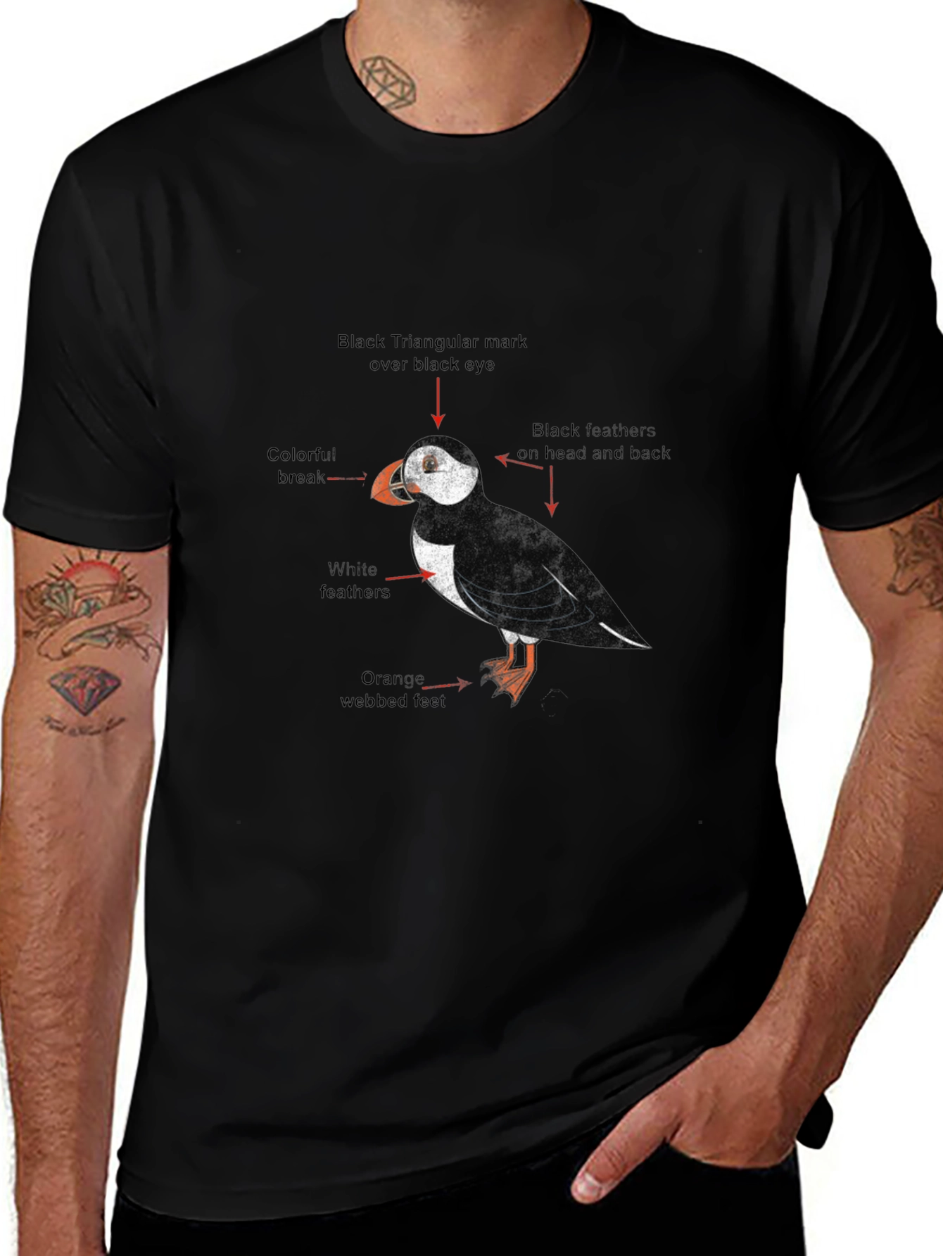 Puffin Bird Graphic Print Black T-Shirt
