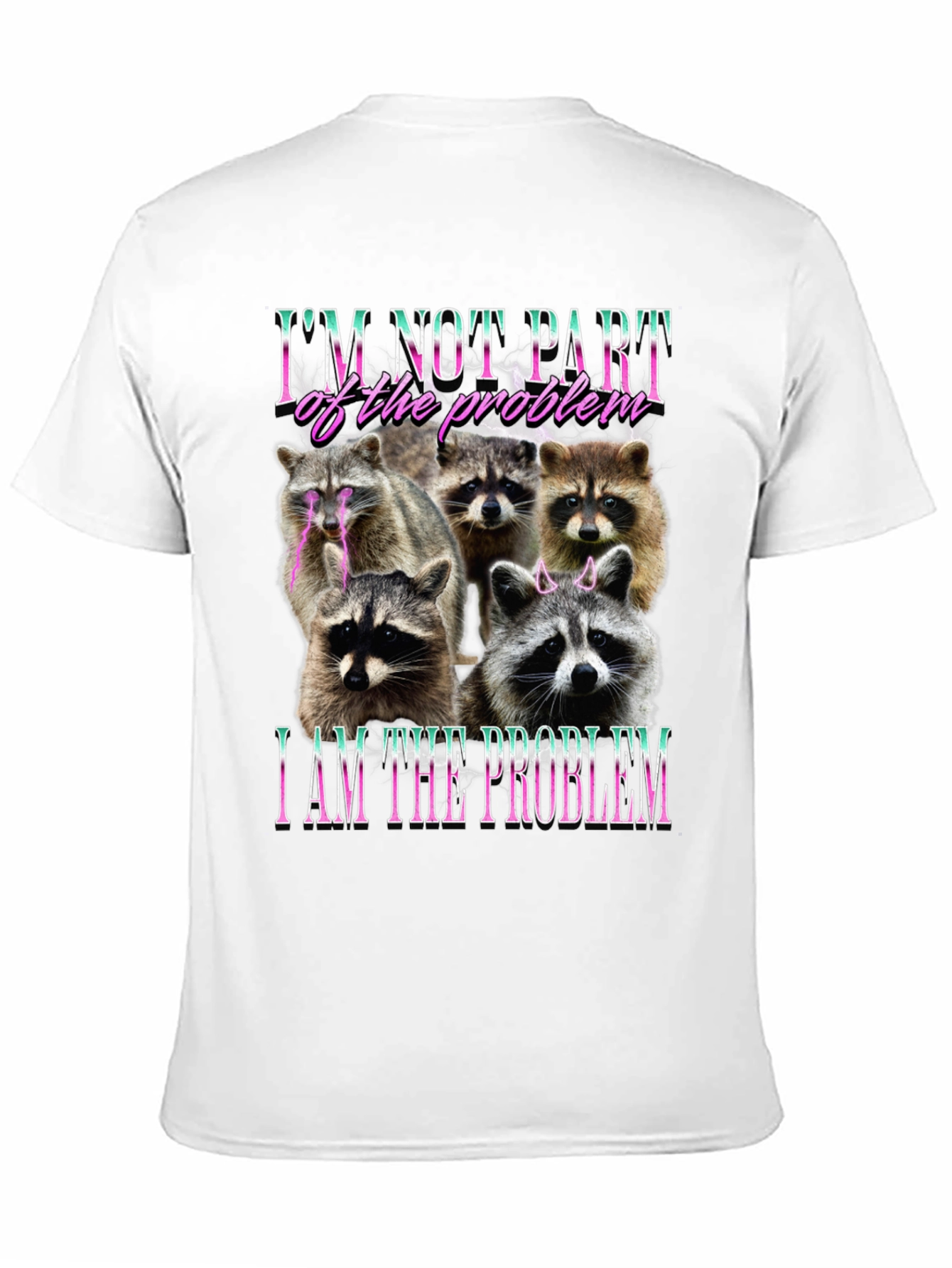 Raccoon I am the Problem Graphic T-Shirt